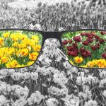 Ergotherapie am Kaffeetrichter Erfurt - Graues Blumenfeld wird durch den Blick durch die Brille farbenfroh
