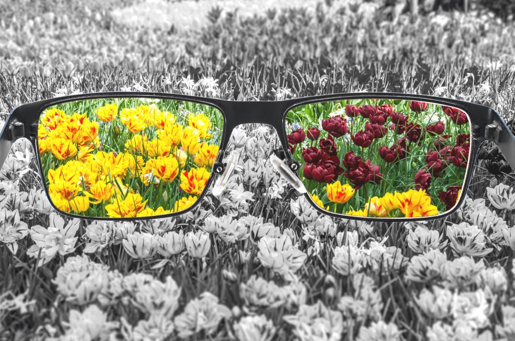 Ergotherapie am Kaffeetrichter Erfurt - Graues Blumenfeld wird durch den Blick durch die Brille farbenfroh